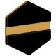 グラボグラス™ 2-プレックス™ 表彫りマット ブラック/ゴールド