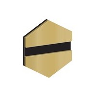 metallex™ new gold/black